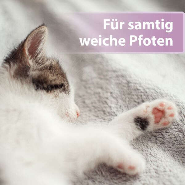 Felisept Pfotenpflege für Katzen